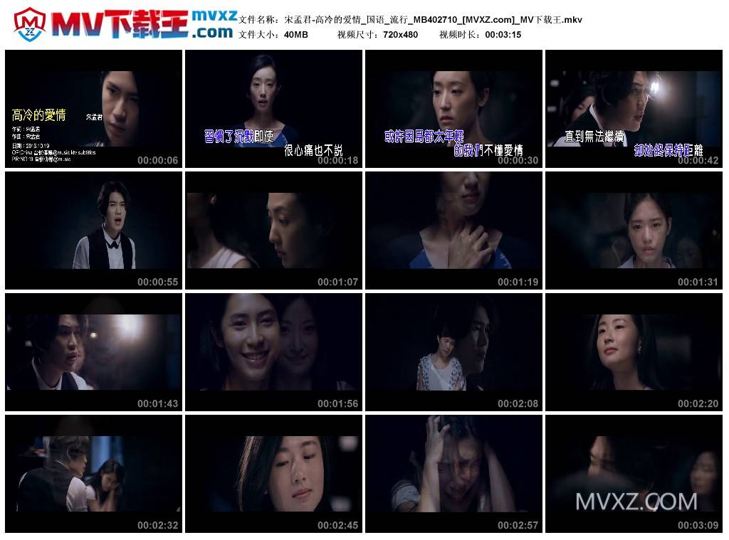 宋孟君-高冷的爱情_国语_流行_MB402710